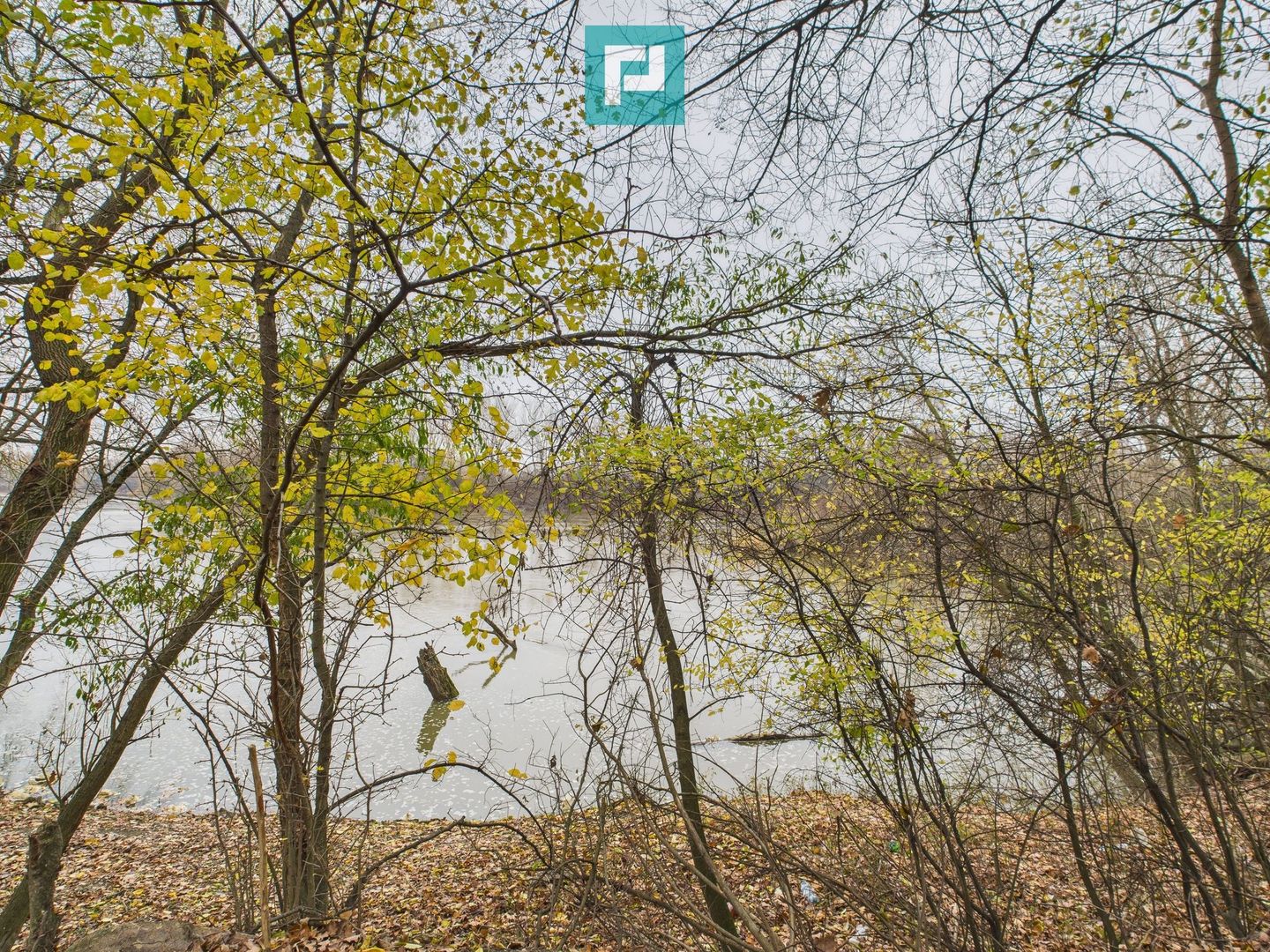 Teren spectaculos la  Periam Port - Poză 19