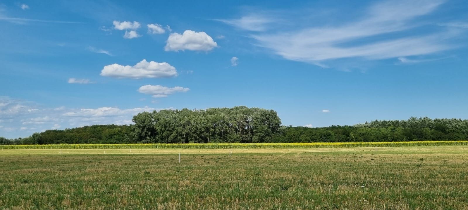 Loturi de teren 638 mp - curent tras la teren - Crevedia - Poză 4