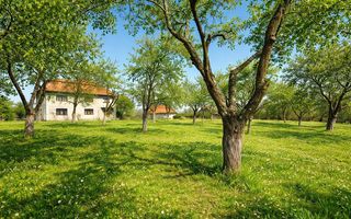 Proprietate cu potențial pensiune – sat Masca, 45 km Cluj - Poză 2