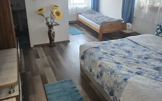 Casa de vacanta | Investitie | zona montana - padure | Arges | Leresti - Poză 25