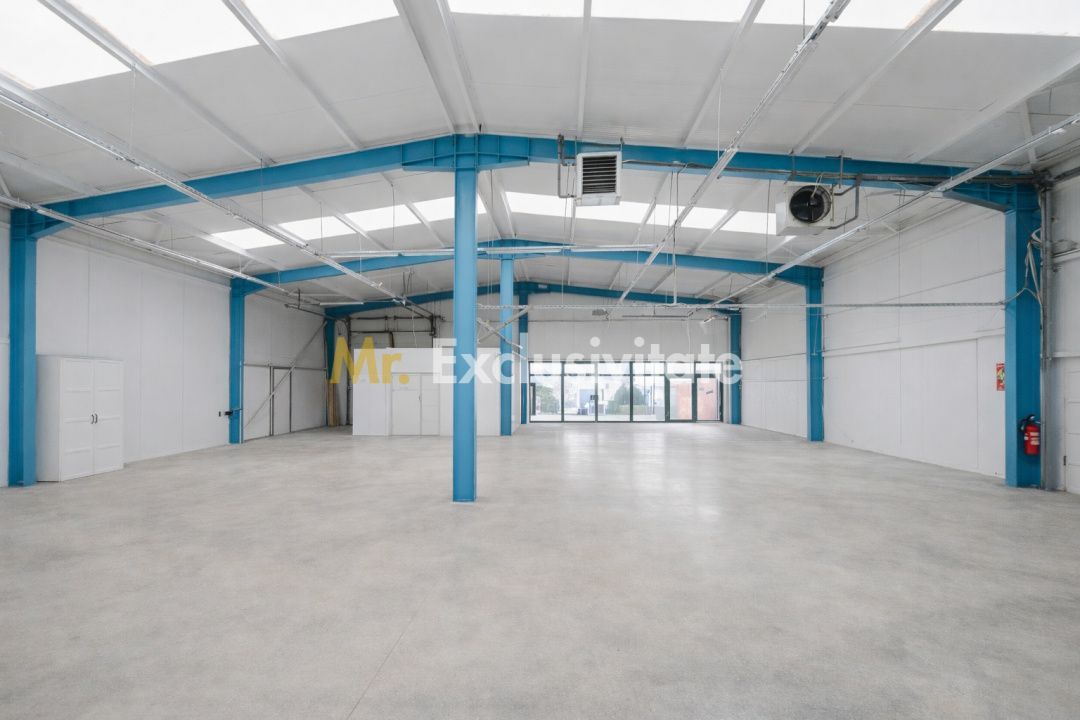 HALA INDUSTRIALA 595 MP | DN 65B – BRADU | CURTE 1.466 MP | AUTOSTRADA - Poză 3