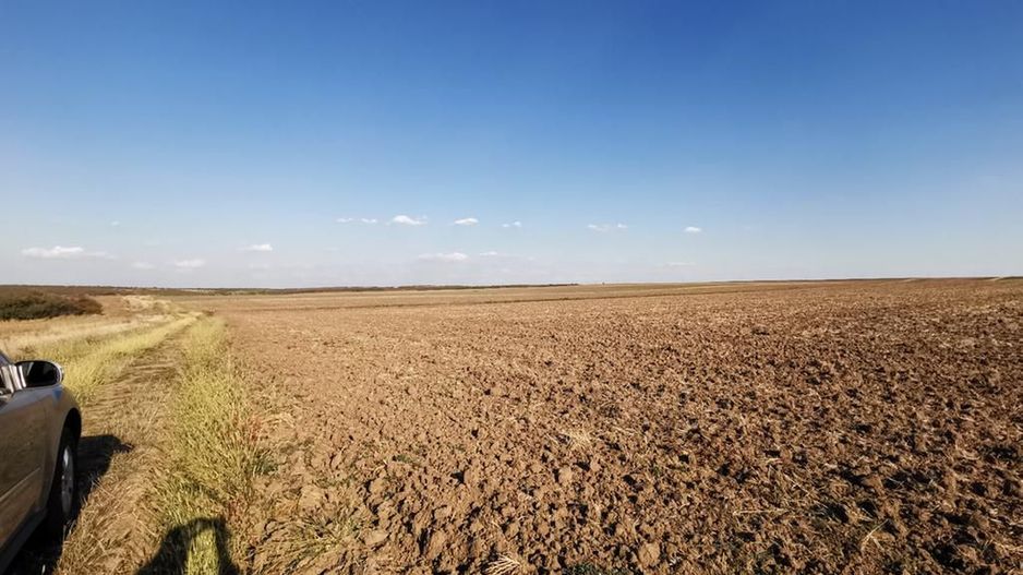 Ferma 415 ha comasat Timisoara NORD - Poză 10