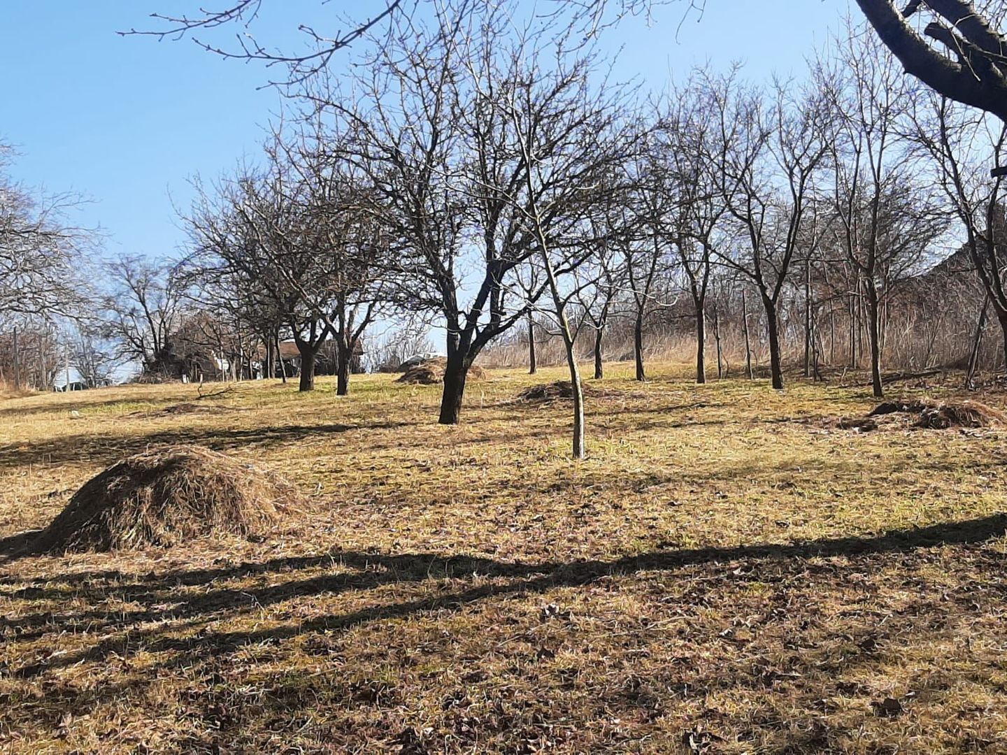 Teren de vanzare in Valcele - Poză 1