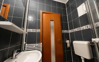 2 CAMERE | CEAIKOVSKI-FLOREASCA | IGIENIZAT | BOXA 11MP | CENTRALA - Poză 13