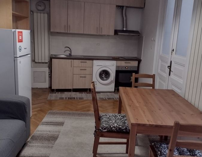 Stirbei Voda, Cismigiu, Conservator - Poză 4