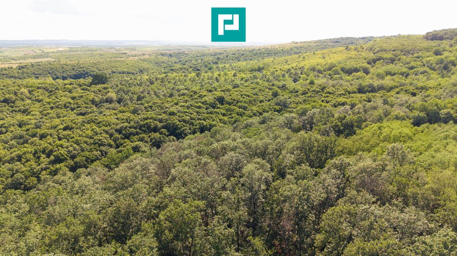 TEREN AGRICOL EXTRAVILAN  22.900 MP LIPOVA - Poză 20
