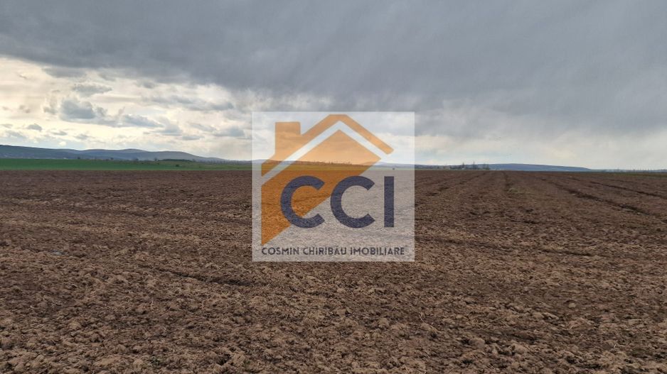 Teren 10,000mp Bacau / Strada Alexandru Safran - Poză 14