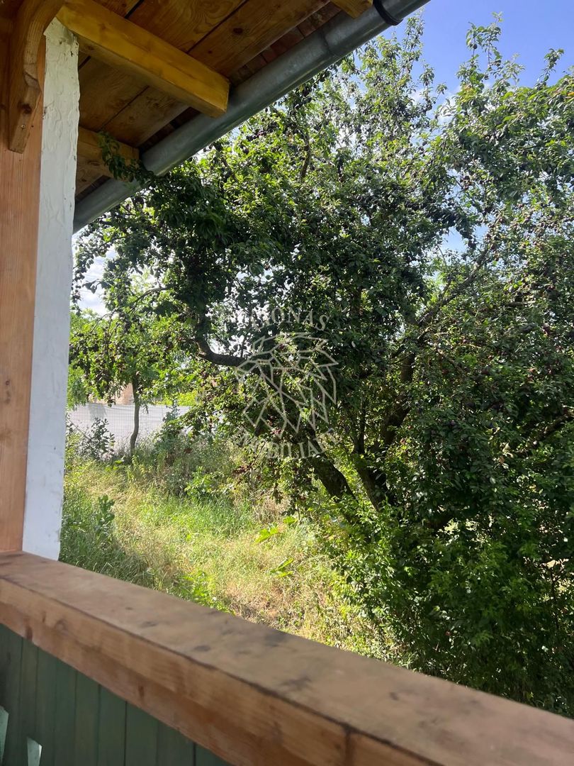 Casă ecologică 113 mp utili cu utilitati  + Teren 3100 mp, Balda, județul Mures - Poză 19