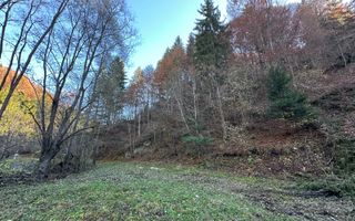 Teren 2.882 mp – oportunitate investitie - Cheile Dâmbovicioarei - Poză 17