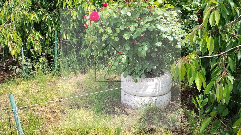 Casa Ciocanesti Cretu - 2 camere cu teren 2539 mp  - Jud. Dambovita - Poză 45