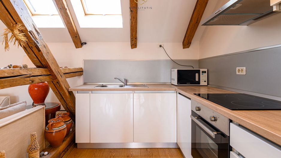 Oportunitate de investiție în centrul Timișoarei - Poză 25