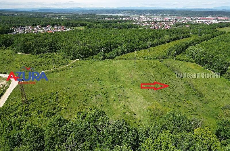 Vanzare teren Balotesti, la padure - Poză 9