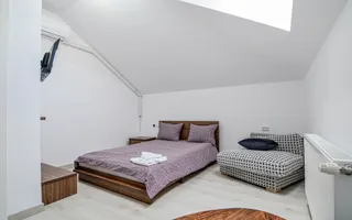 Penisune - Afacere la cheie 9 camere de vanzare la 20km de Cluj-Napoca - Poză 59