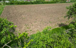 Teren Intravilan de 3,090 mp în Cuvin - Poză 18