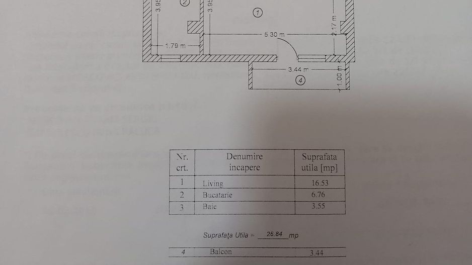 Garsoniera de vanzare Luica - Poză 8