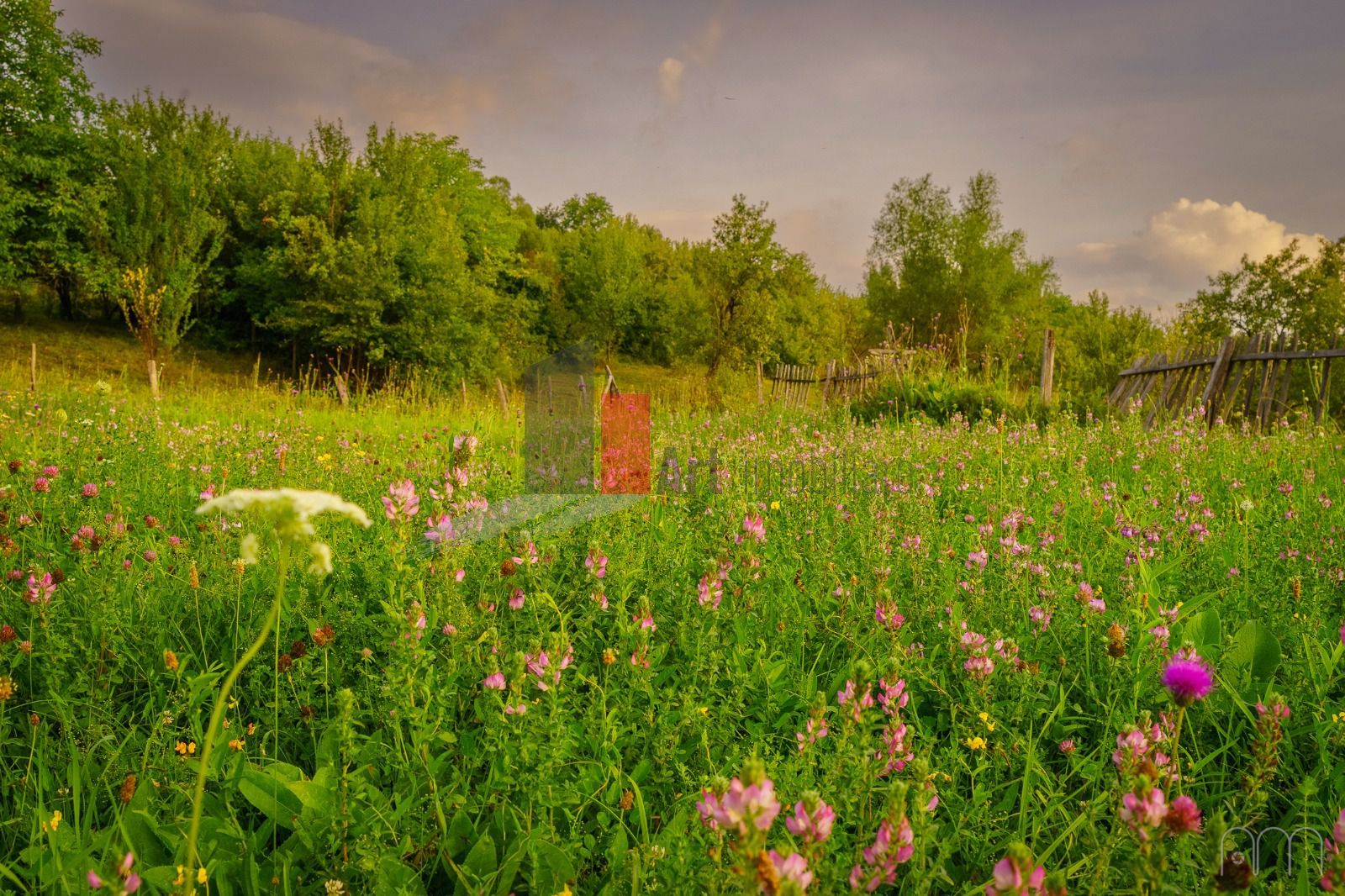 Teren intravilan Boteni Arges - Poză 3