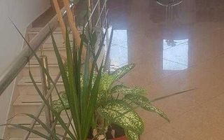 Proprietar inchiriez Vila P+2,din 2012,suprafata 345 mp, DAMAROAIA,S1 - Poză 5