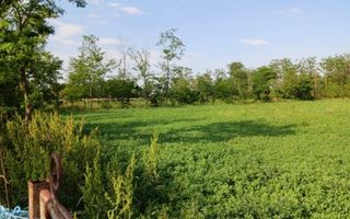 Teren intravilan sat Caltuna Smeeni BZ suprafata 3580mp deschidere 50m - Poză 3