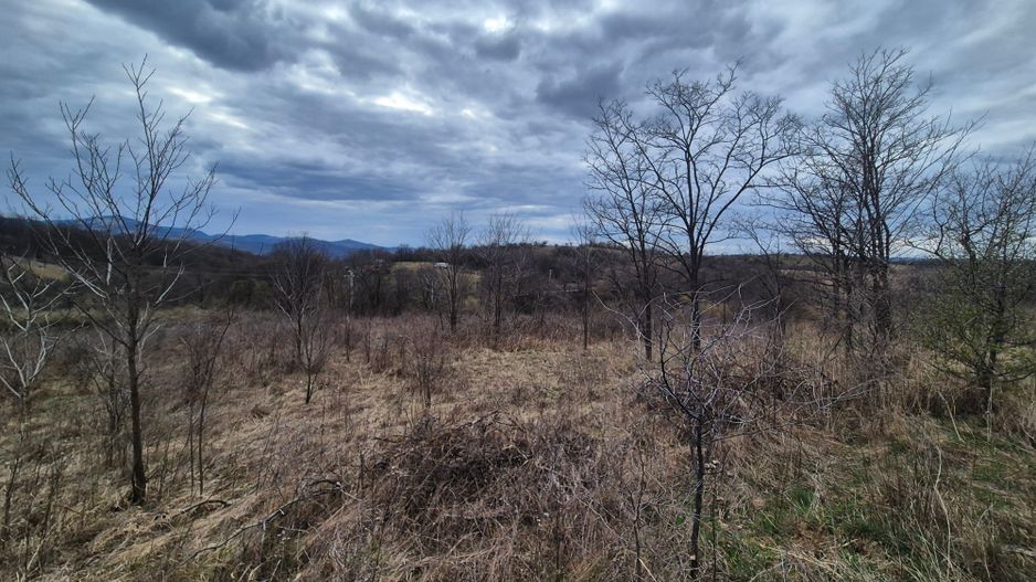 Vand 2 parcele de 5700 mp zona Iabalcea - Poză 3