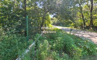 INVESTIȚIE!! Teren intravilan 5.000 mp, zona BĂLTENI - Padure; - Poză 4