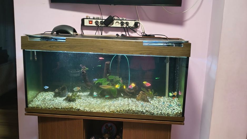 Casa in cartierul Nufarul - Poză 4