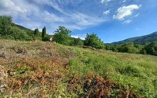 Teren în Fântânele – 3.673 mp, pârâu si cadru natural  deosebit - Poză 12