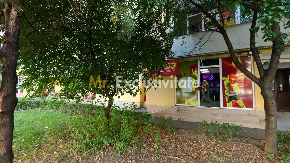 Spațiu Comercial Stradal Open Space | Trafic Intens | Vizibilitate Mar - Poză 12