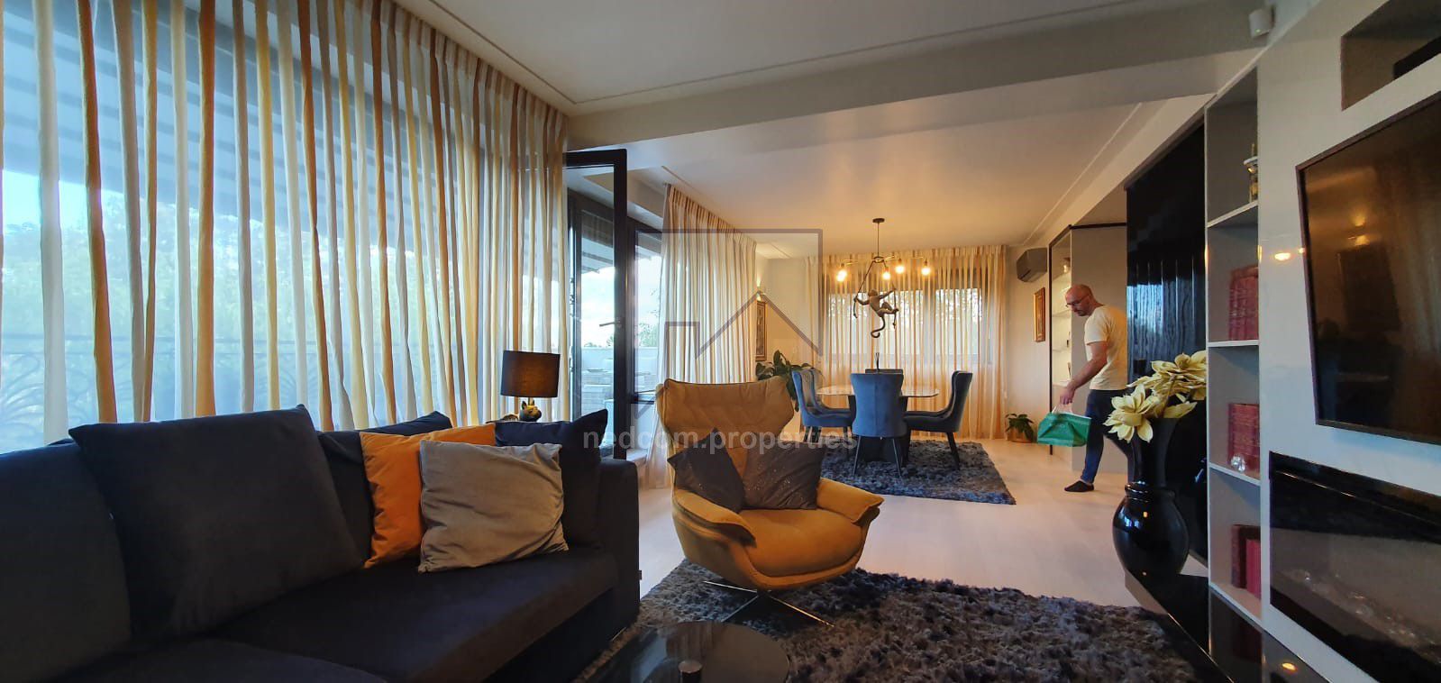 Vanzare Vila de exceptie - Domenii - Poză 2