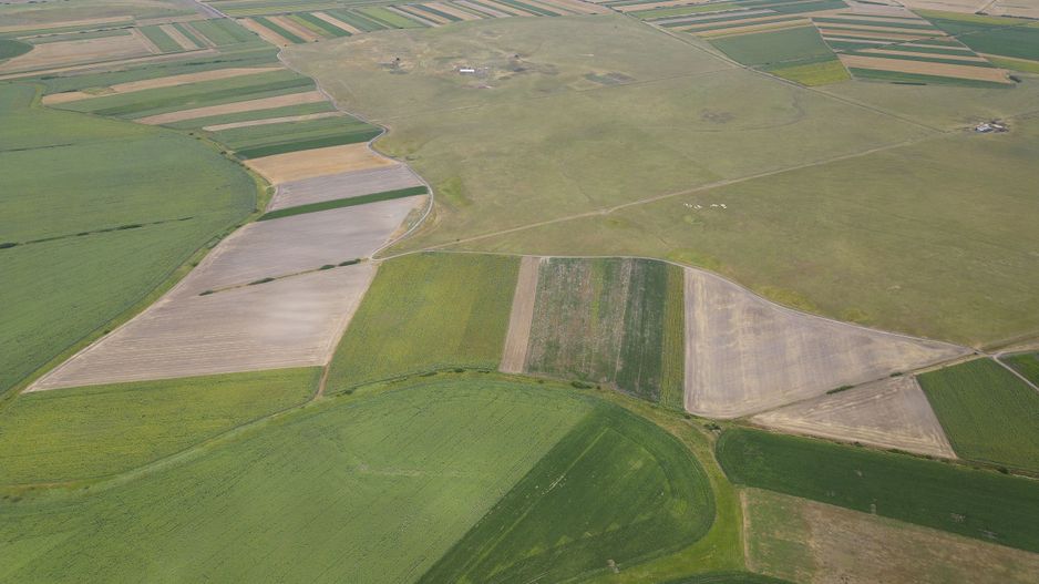 Teren arabil de 40 hectare în Zarand - Poză 4