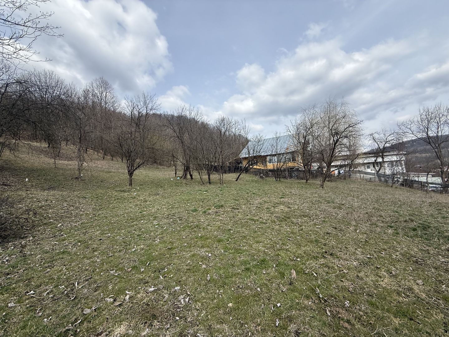 Teren 6040 mp la baza pădurii deschidere 40 ml - Poză 5