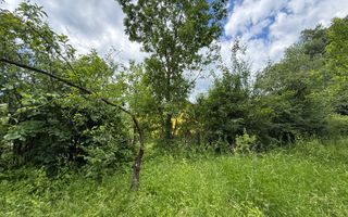 Teren intravilan 1859 mp Plaiu Provita de Sus la asfalt ! - Poză 15