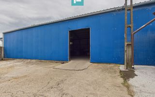 Hală versatila de 240 mp cu cameră frig în Săcălaz - Poză 1