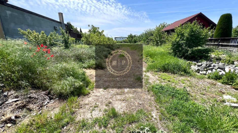 2.200mp teren cu toate utilitatile la asfalt –Zona DSVSA Cetate - Poză 2