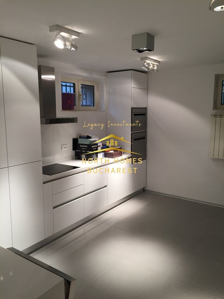 Apartament tip duplex in zona Capitale,  221mp: parter + demisol - Poză 9