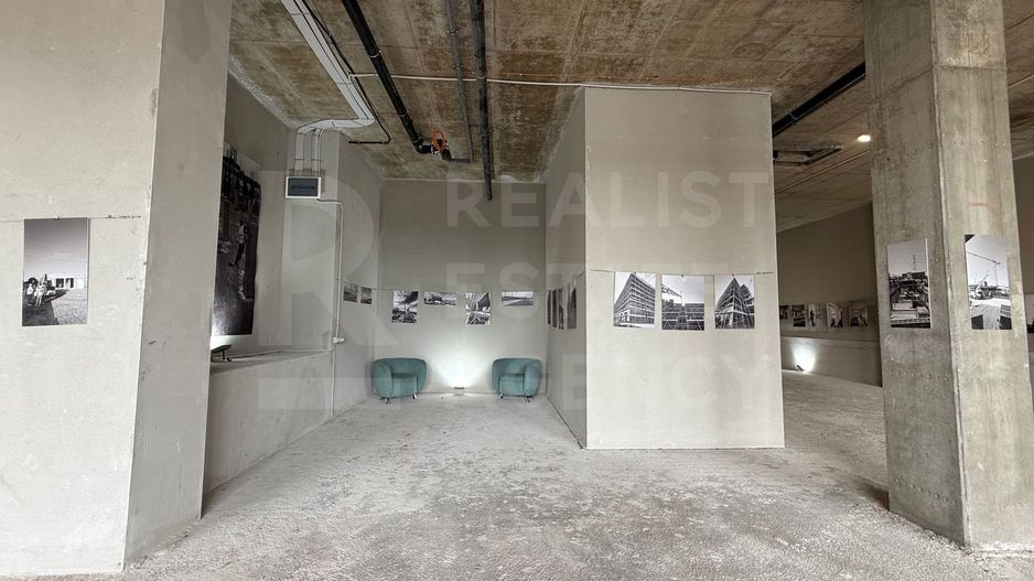 Vânzare, spațiu comercial, 245 mp, Torontal, Timișoara - Poză 7