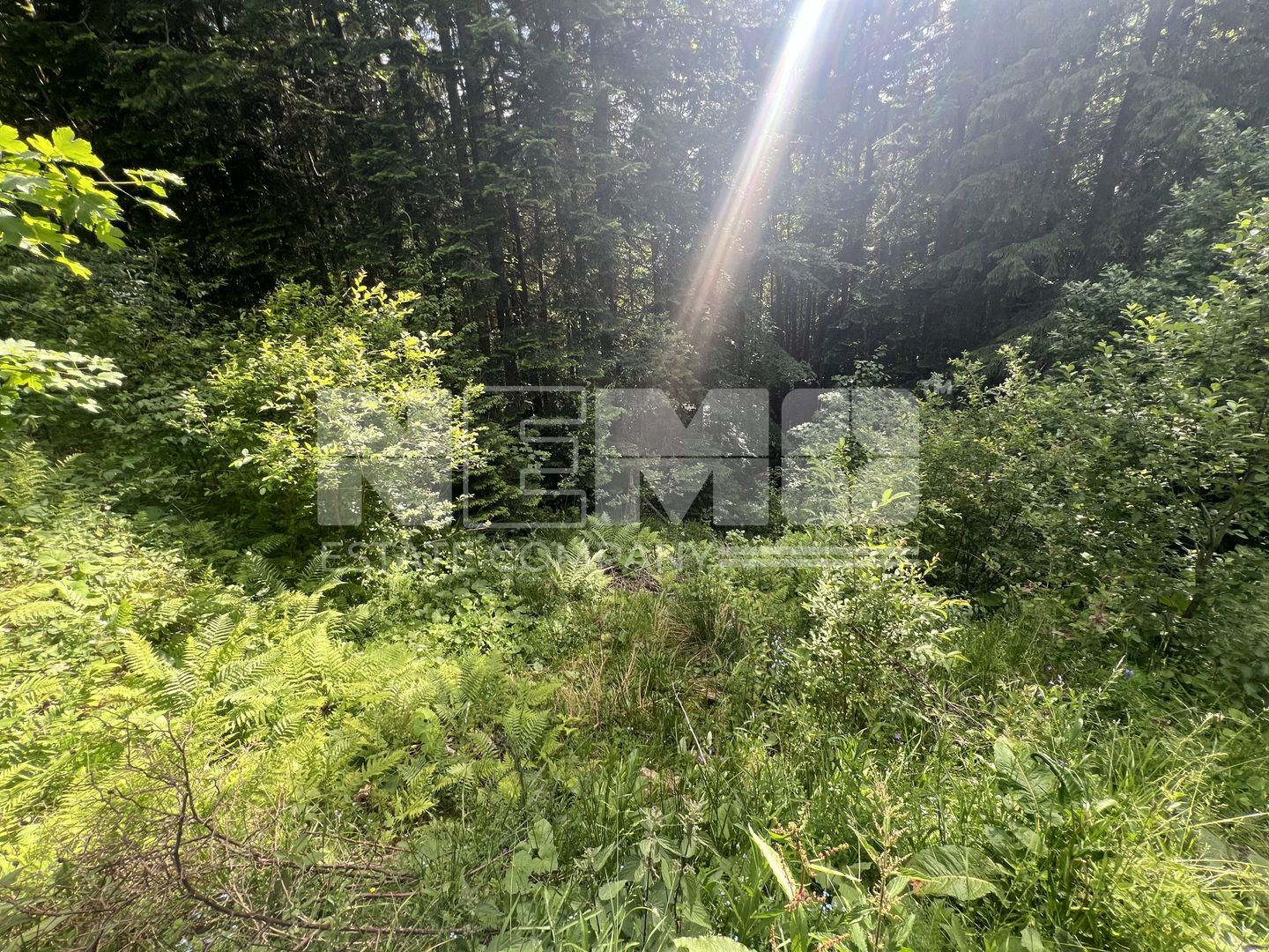 Teren Intravilan | Brodina de Jos | 16900 MP - Poză 9