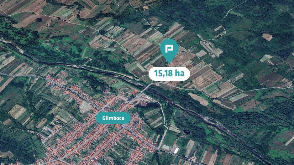 Teren extravilan agricol de 20 ha lângă Caransebes - Poză 2