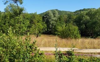 TEREN INTRAVILAN ZĂVOI\ZONA VALEA BISTREI, JUD.C-S - Poză 5