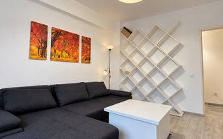 Valea Adanca - 2 camere + curte - decomandat - 399 euro - Poză 1