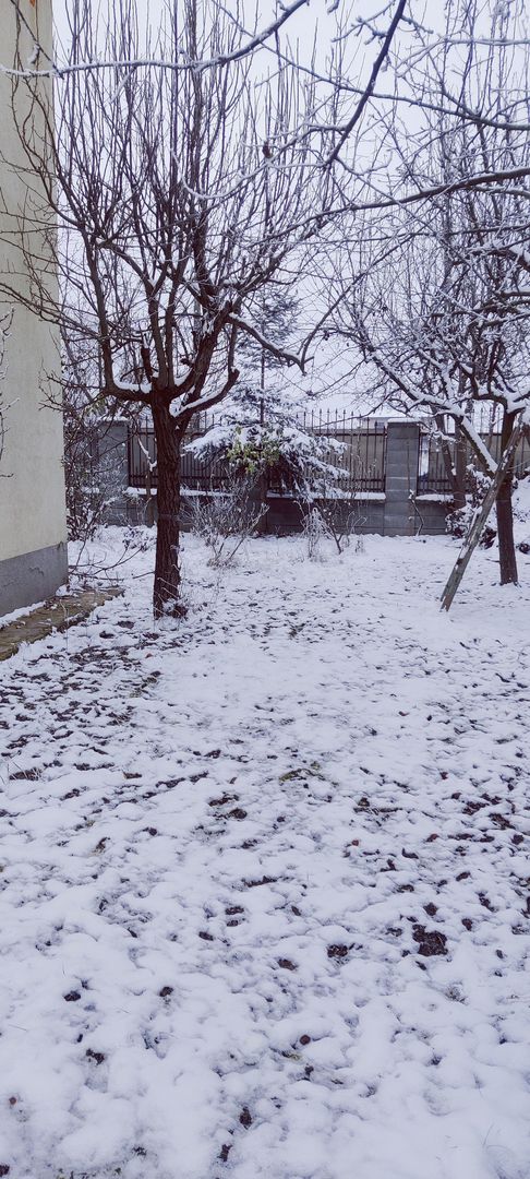 SPATIU BIROURI 110 MP -  GHIRODA - Poză 21