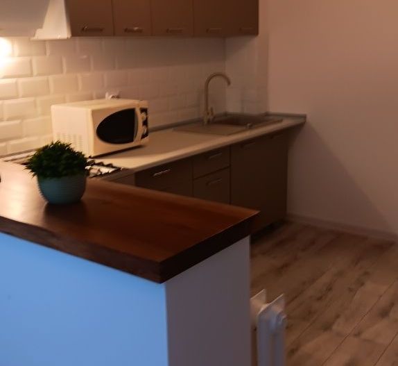 Apartament 2 camere Mihai Bravu/Iulia Hasdeu/Metrou Iancului - Poză 4