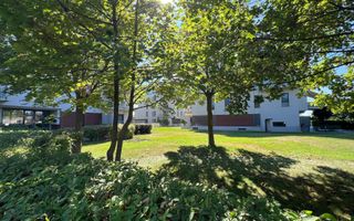 3 camere Baneasa | parcare si boxa de 9 mp | langa ambasada SUA - Poză 6