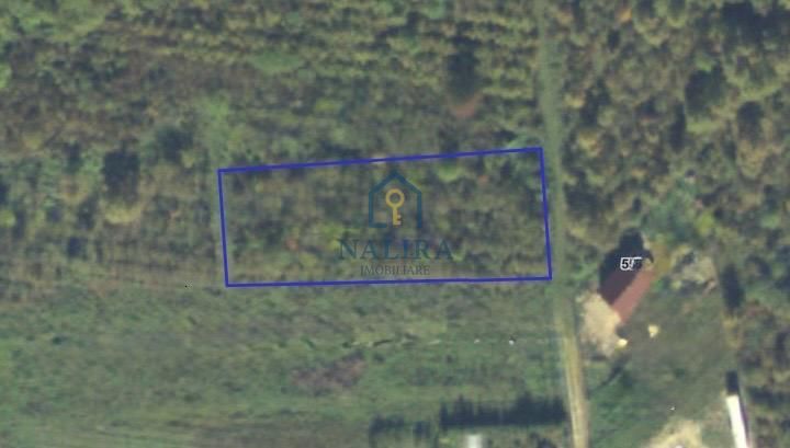 Vanzare teren -  Tautii Magheraus - strada 4 - Poză 3