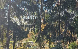 Casa P+M, zona linistita cu panorama- Tautii de Sus !!! - Poză 17