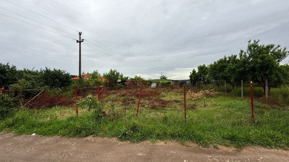 Teren Intravilan Padurea Noroieni - Poză 6