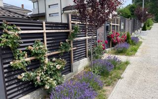 Casa Bucium 4 dormitoare,cartier deosebit, # - Poză 7