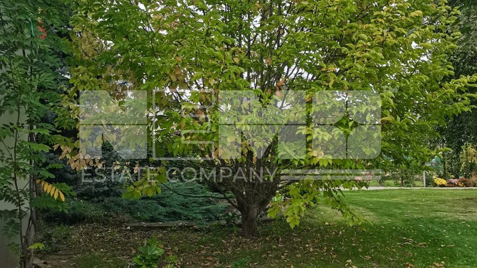 Casă/Vila + Teren 13 Ari de Vânzare |Lisaura/Suceava I 260.000Euro - Poză 18