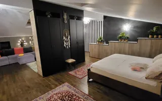 VANZARE CASA INDIVIDUALA  P+E+M DRISTOR - Poză 11