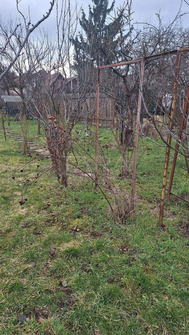 Casa cu teren generos in zona Gheorgheni - Poză 10