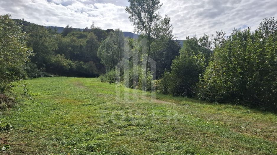 Teren Intravilan de Vânzare – 3622 mp – Râu Sadului - Poză 6